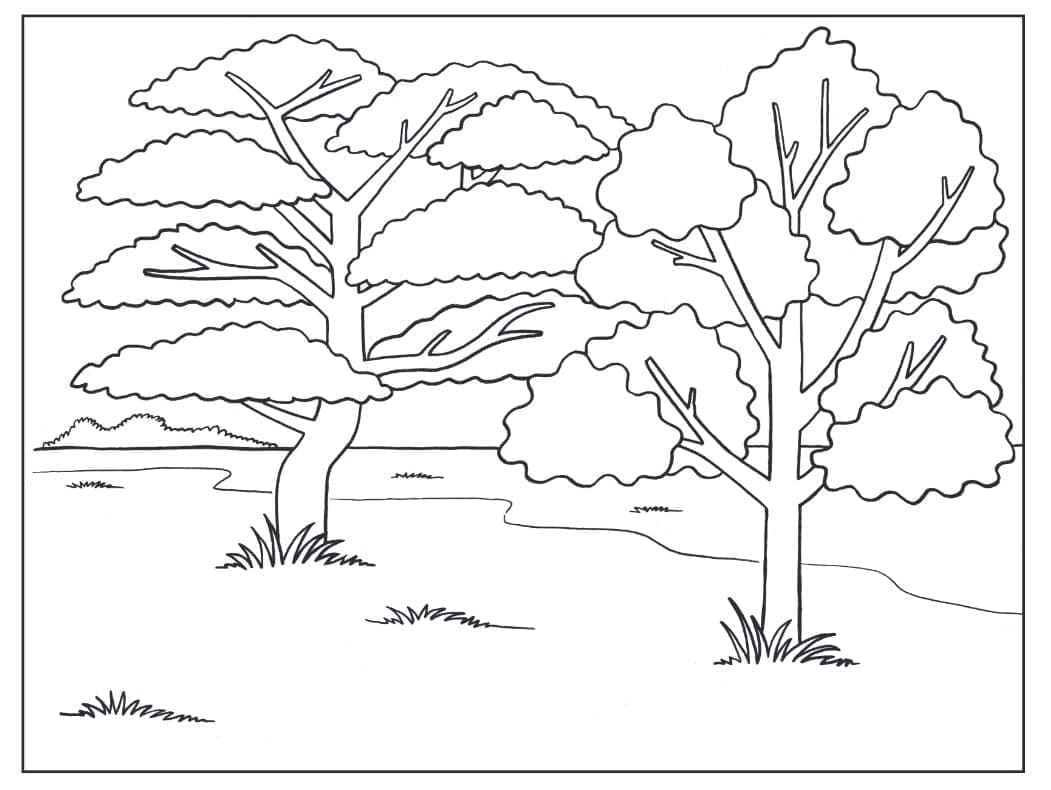 Albero Facile da colorare