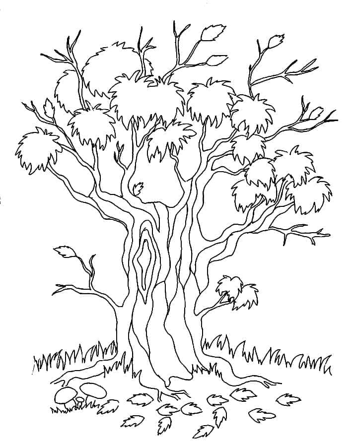 Albero Piacevole da colorare