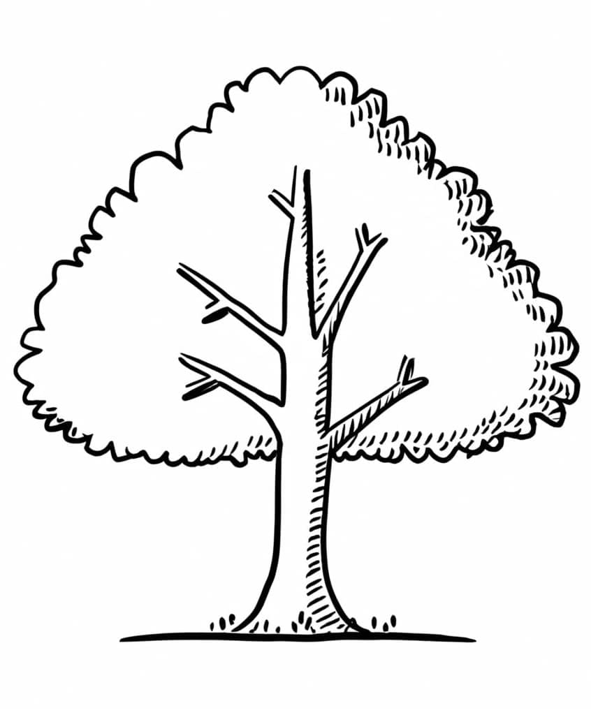 Albero Stampabile Gratuito da colorare