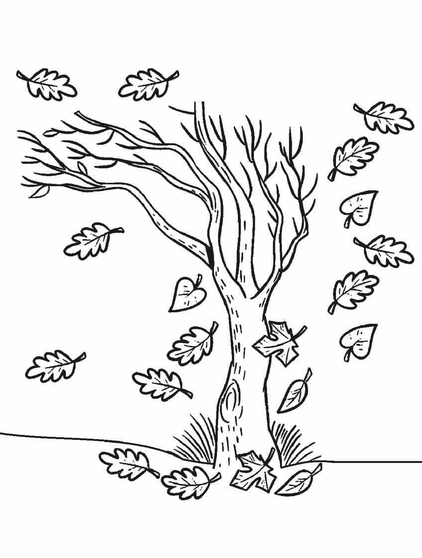 Albero autunnale da colorare