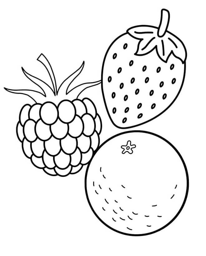 Alcuni frutti da colorare