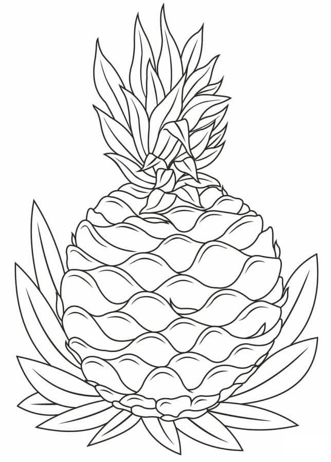Ananas 3 da colorare