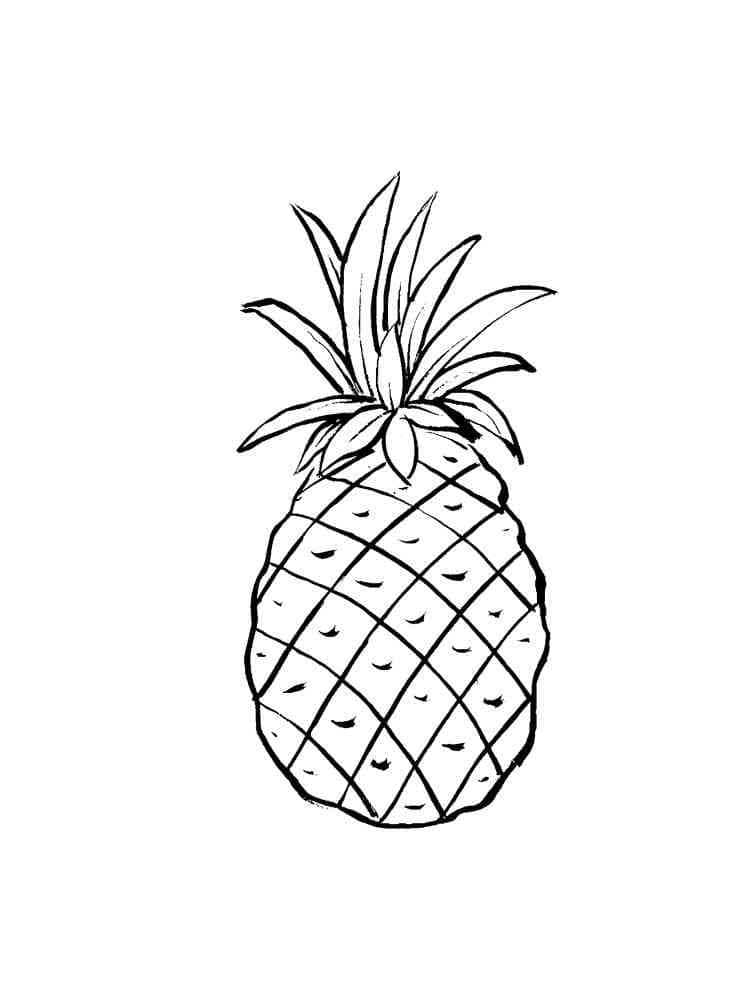 Ananas per Bambini di 3 Anni da colorare