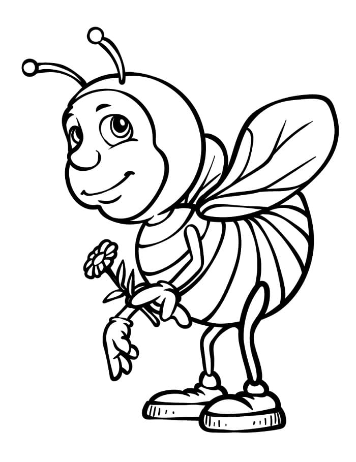 Ape Regolare da colorare