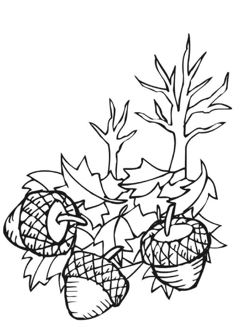 Autunno Immagine Libera da colorare