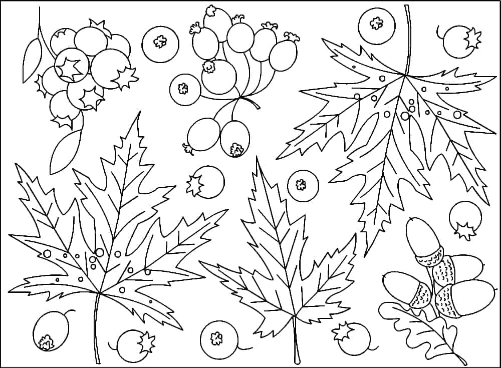 Autunno Libero da colorare