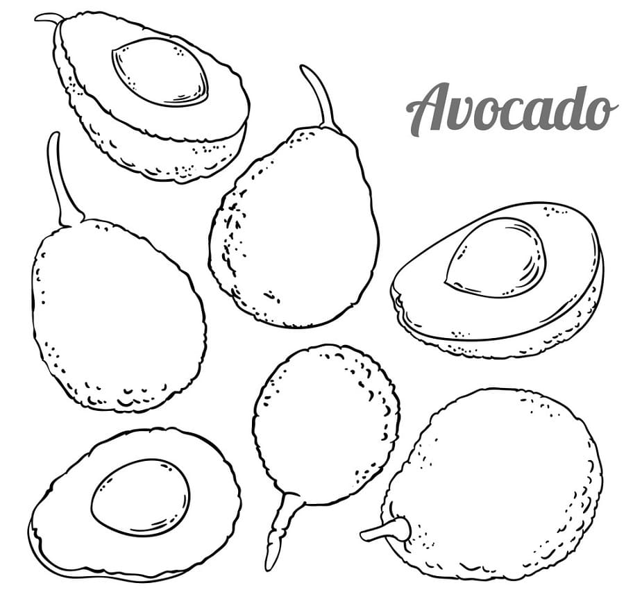 Avocado Libero Stampabile da colorare