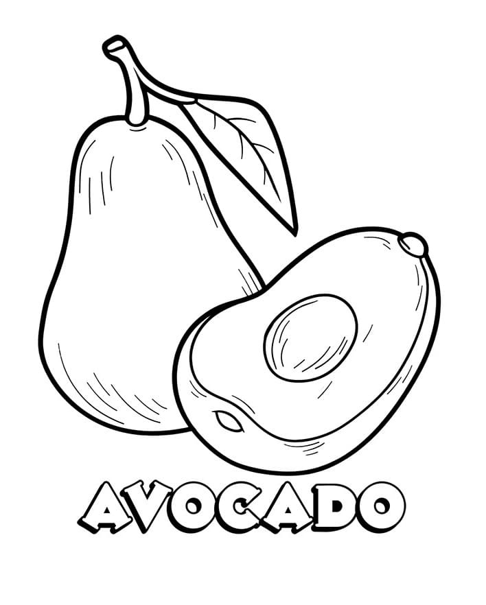 Avocado Perfetto da colorare