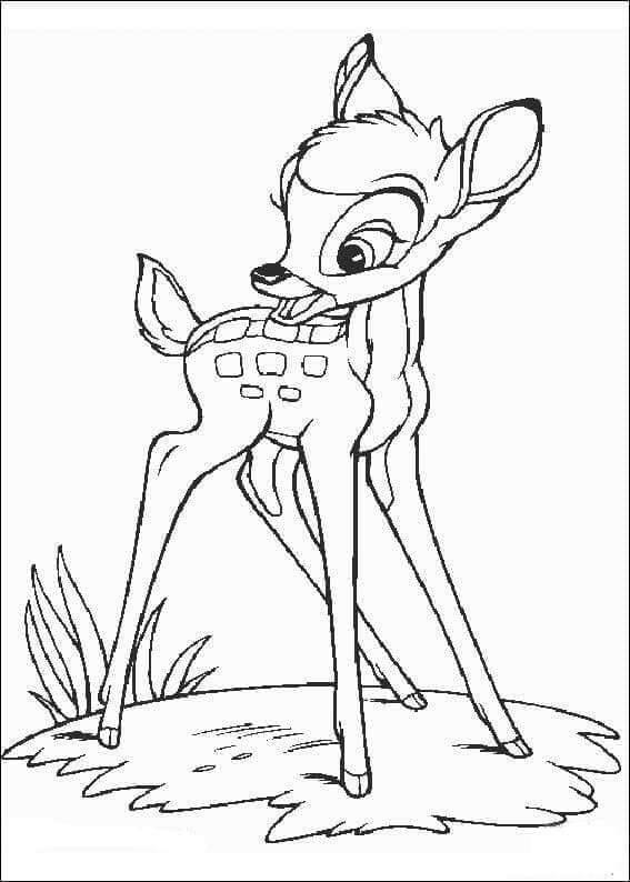 Bambi Bellissimi da colorare