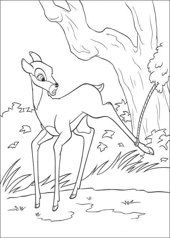 Bambi Gratuiti Stampabili da colorare