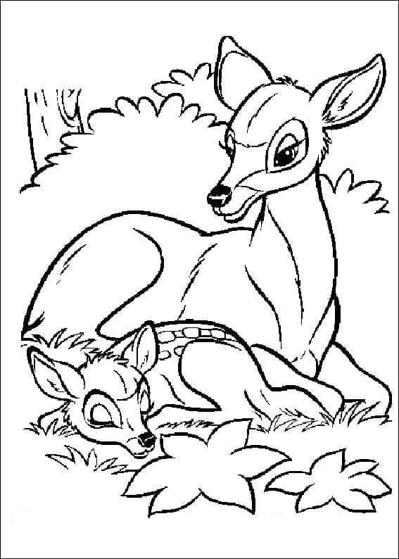 Bambi Simpatici da colorare