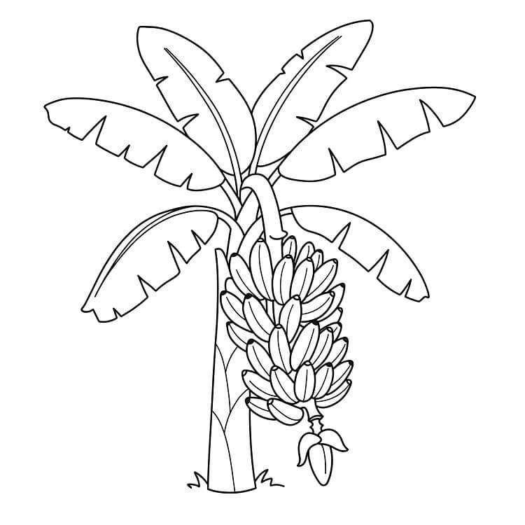 Banana per Bambini di 1 Anno da colorare