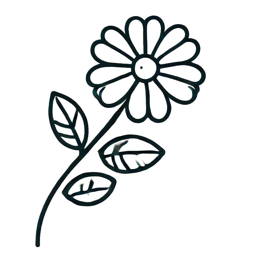 Bellissimo fiore da colorare