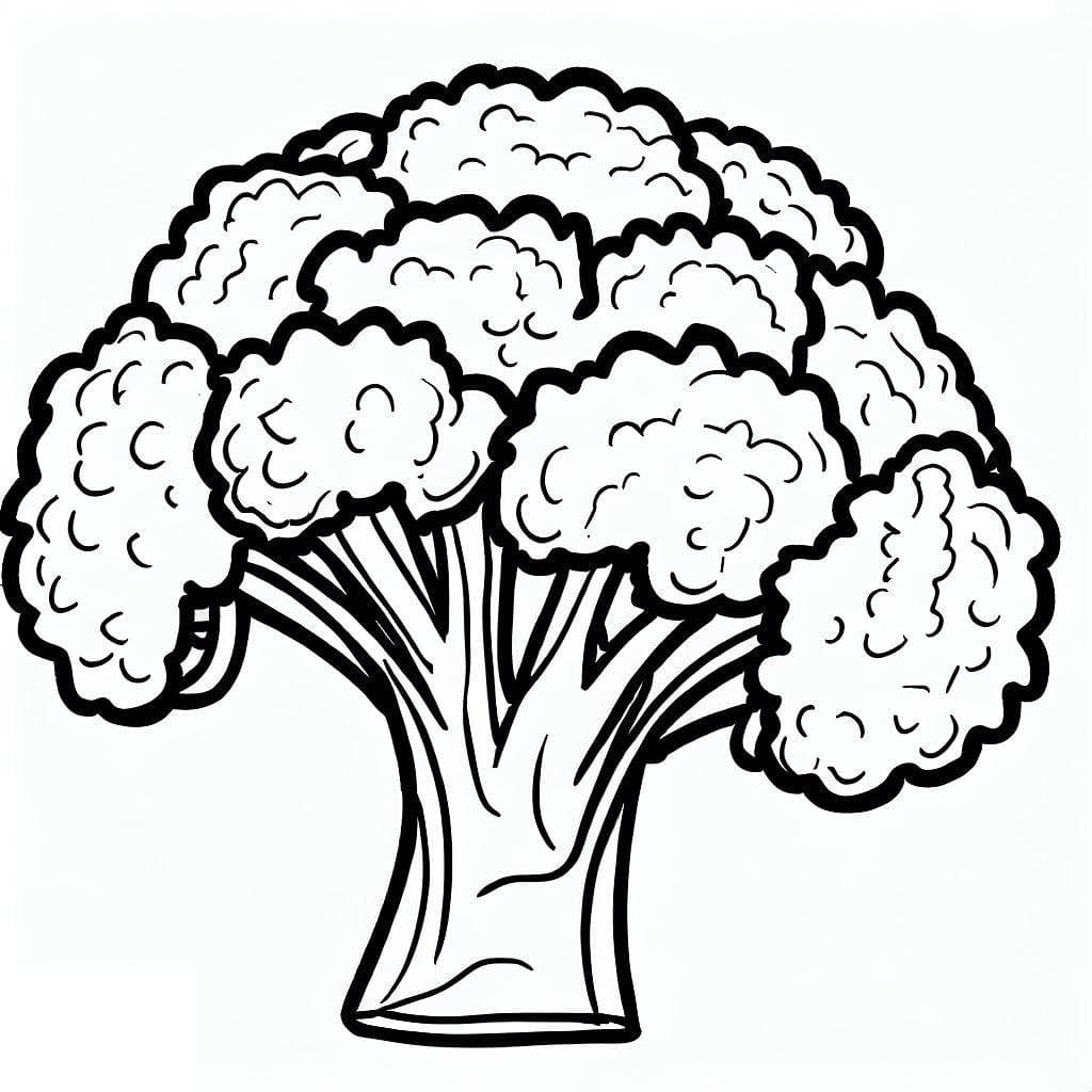 Broccolo Gratuito da Stampare da colorare