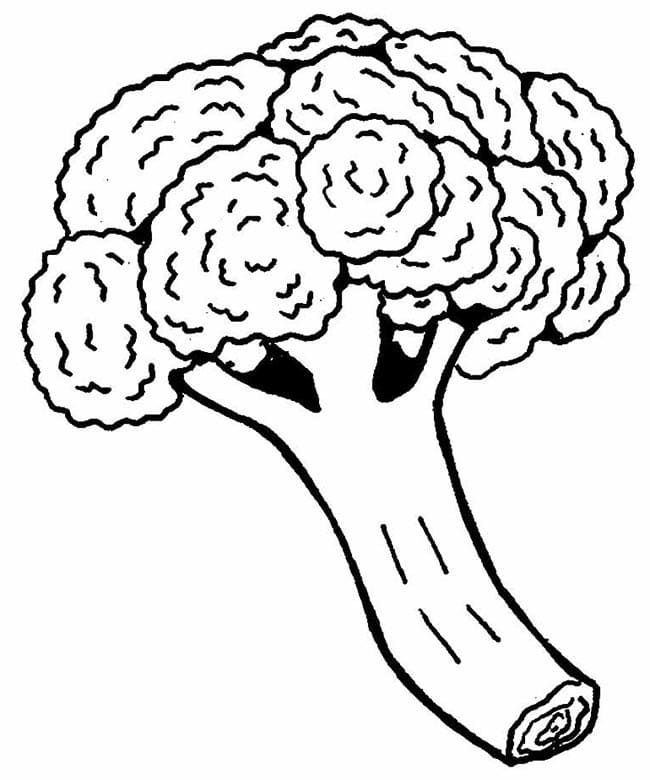 Broccolo Stampabile Libero da colorare