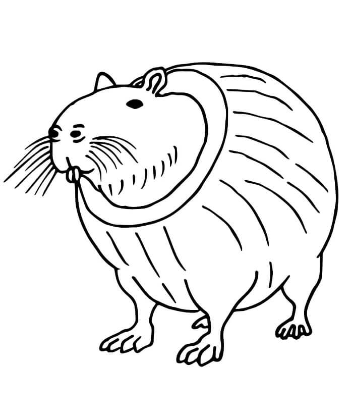 Burbaloni Lulilolli Brainrot da colorare