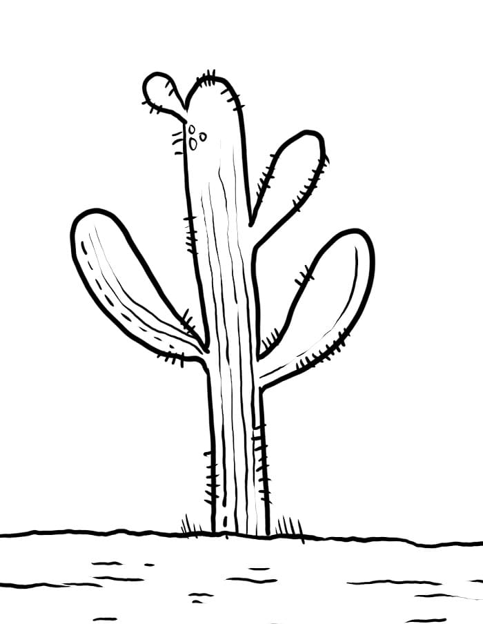 Cactus Bellissimo da colorare