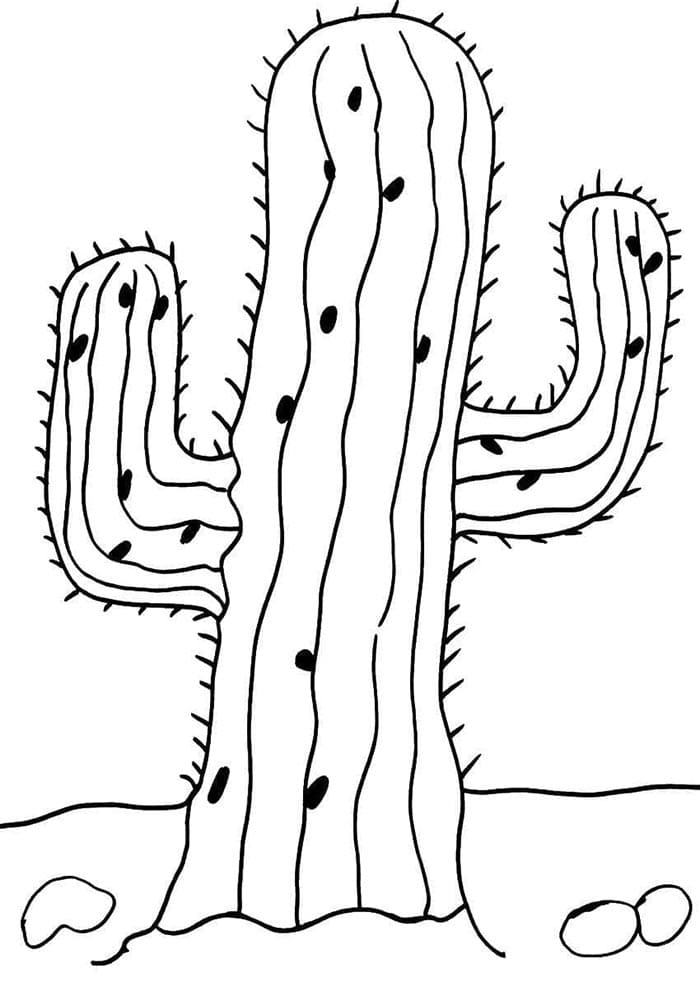 Cactus Facile da colorare