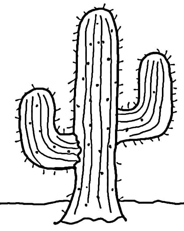 Cactus Piacevole da colorare