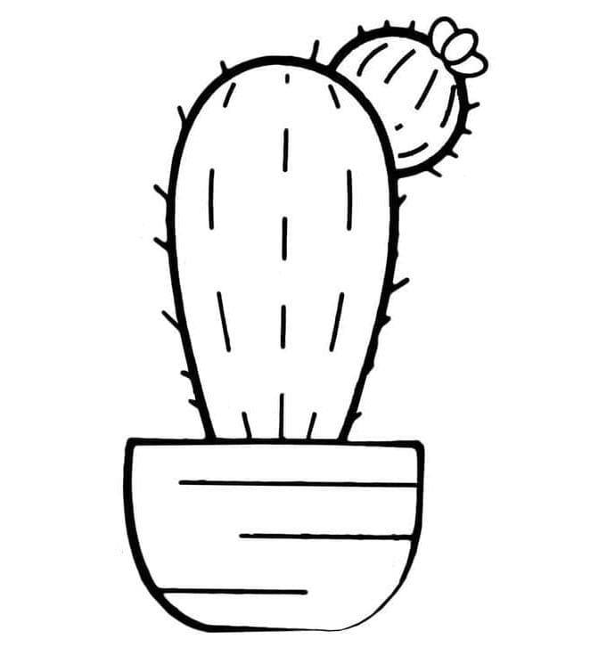 Cactus Semplice da colorare