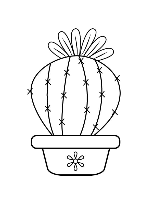 Cactus Stampabile Gratuito da colorare