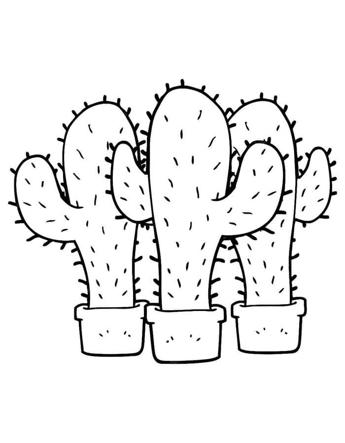 Cactus Stampabile Libero da colorare