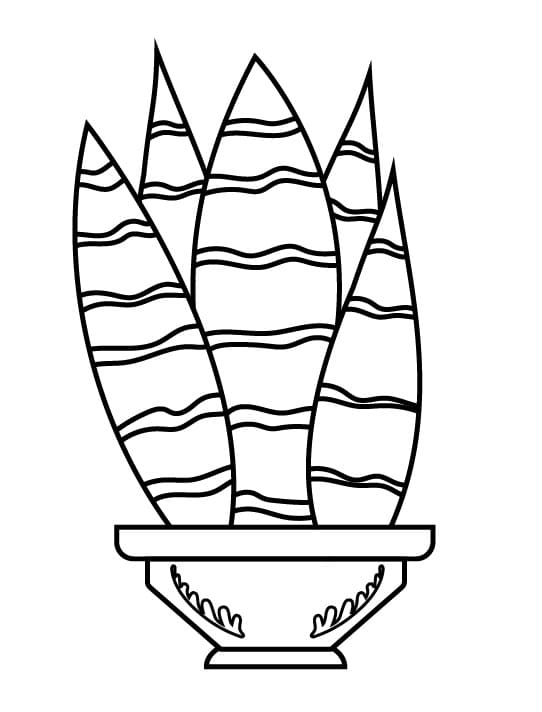 Cactus a Costo Zero da colorare