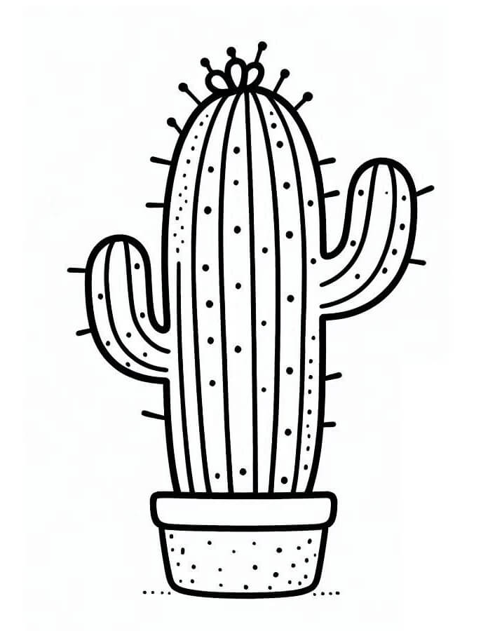 Cactus per Bambini di 2 Anni da colorare