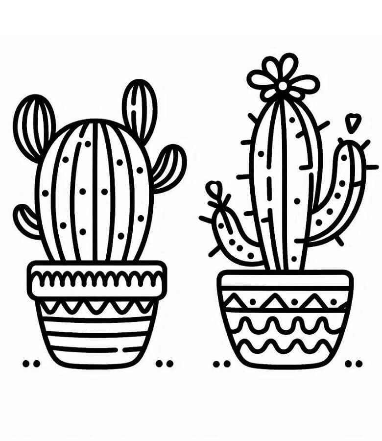 Cactus per Bambini di 3 Anni da colorare