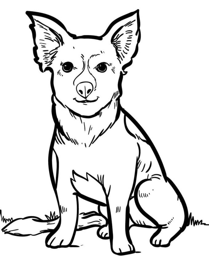 Cane Normale da colorare