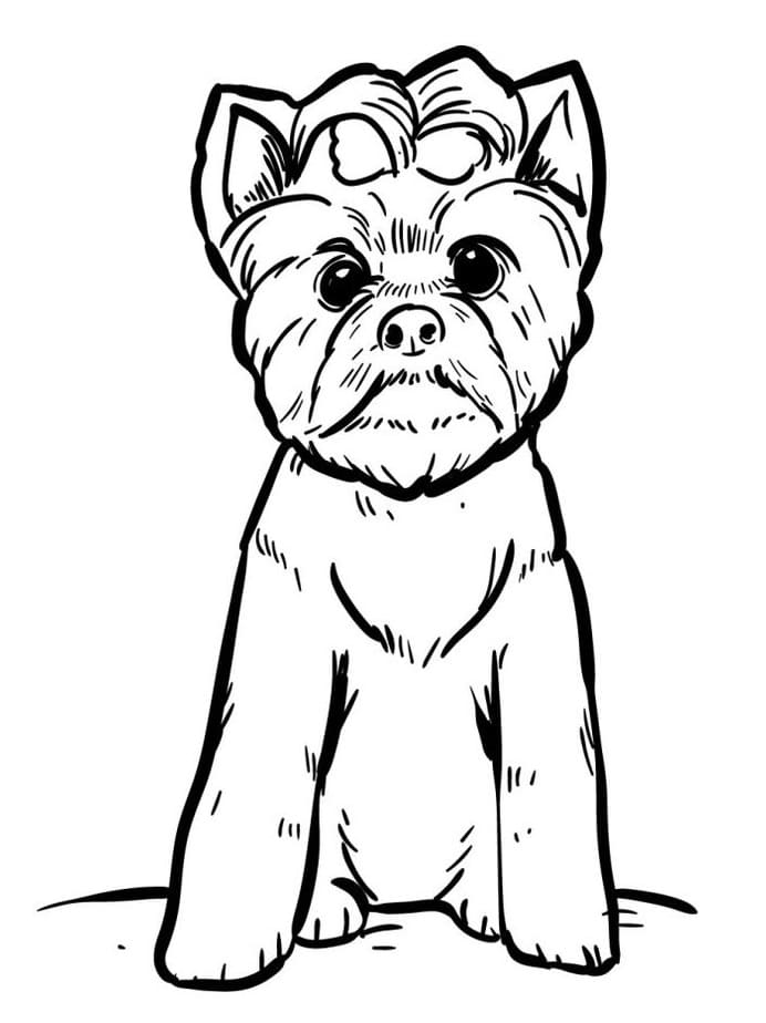 Cane Regolare da colorare