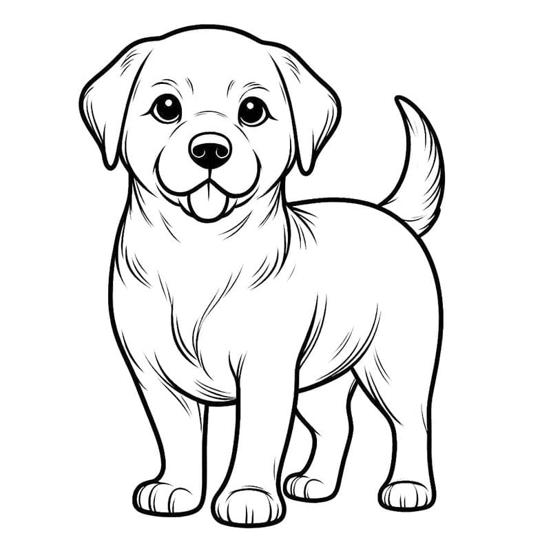 Cane a Cartoni da colorare