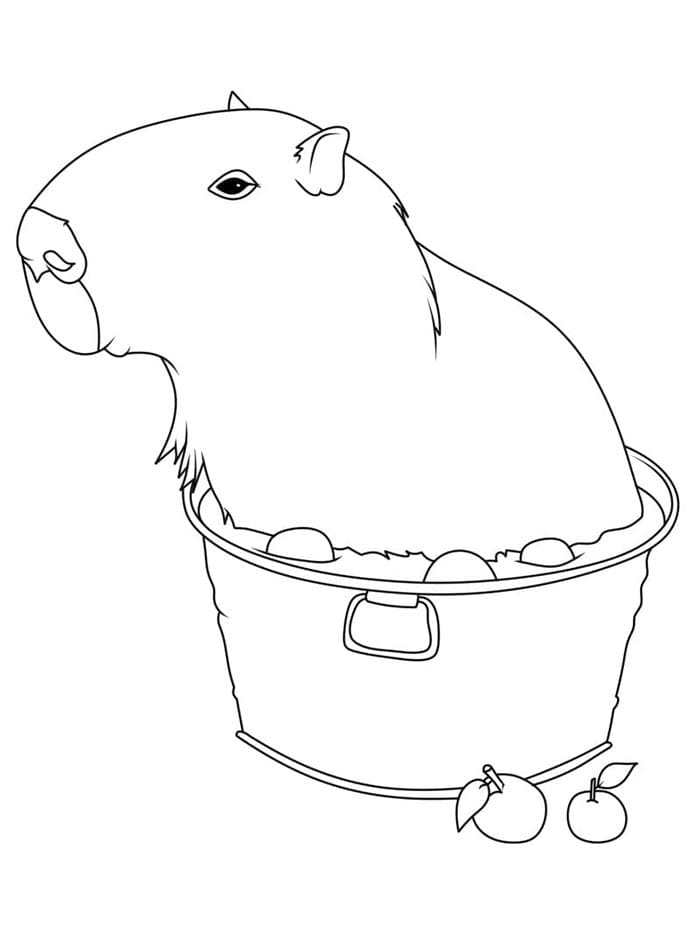 Capibara Adorabile da colorare