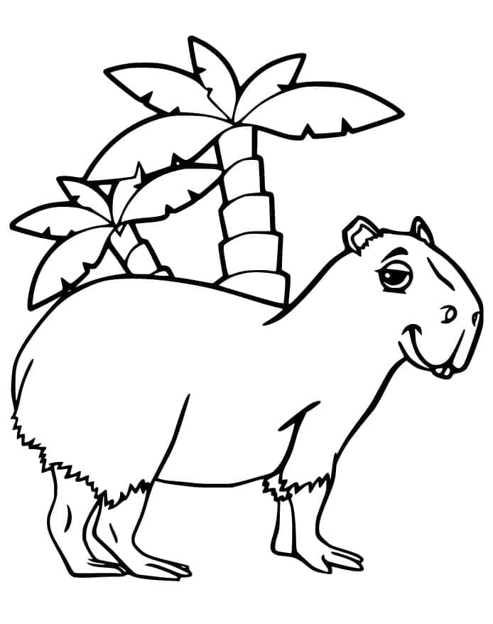 Capibara Animato da colorare