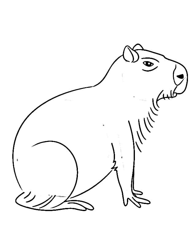 Capibara Facile da colorare