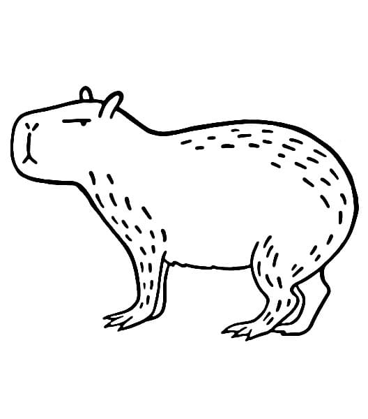 Capibara Gratis Stampabile da colorare