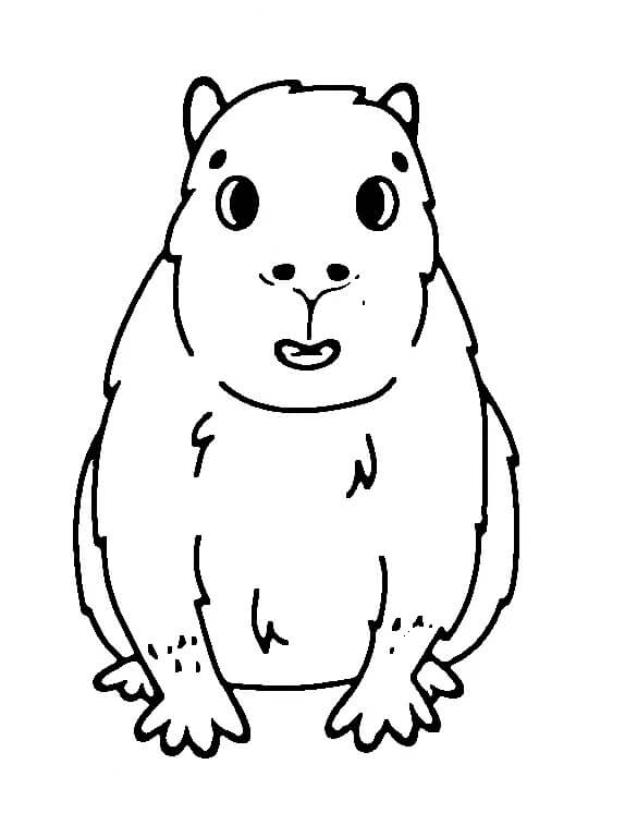 Capibara Gratis per Bambini da colorare