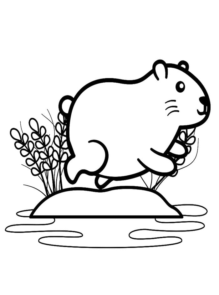 Capibara da colorare