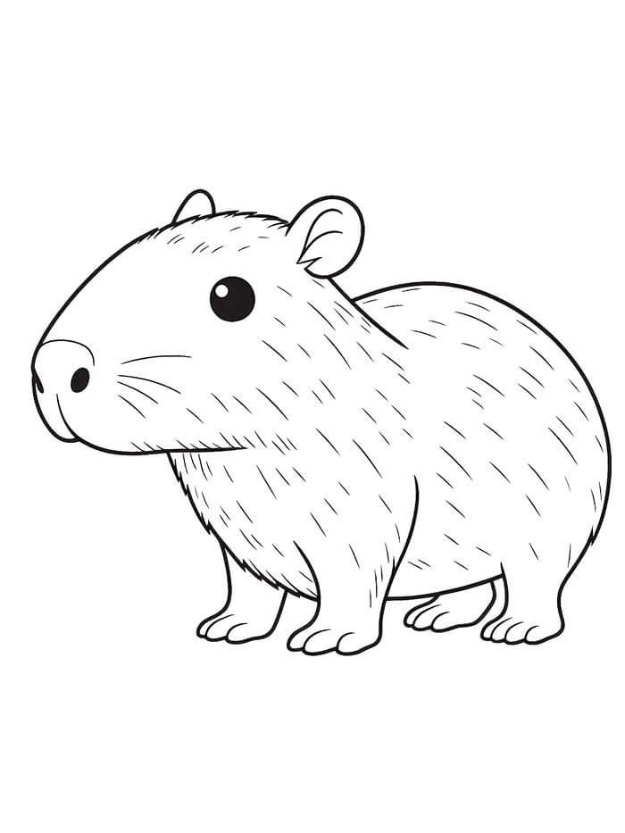 Capibara Gratuito da Stampare da colorare