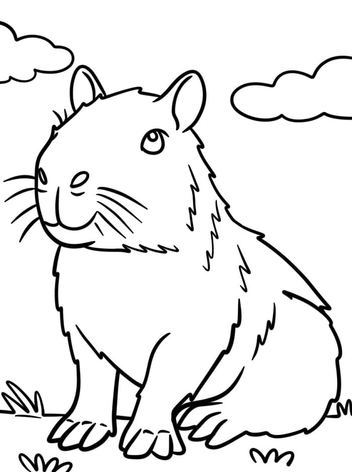 Capibara Normale da colorare