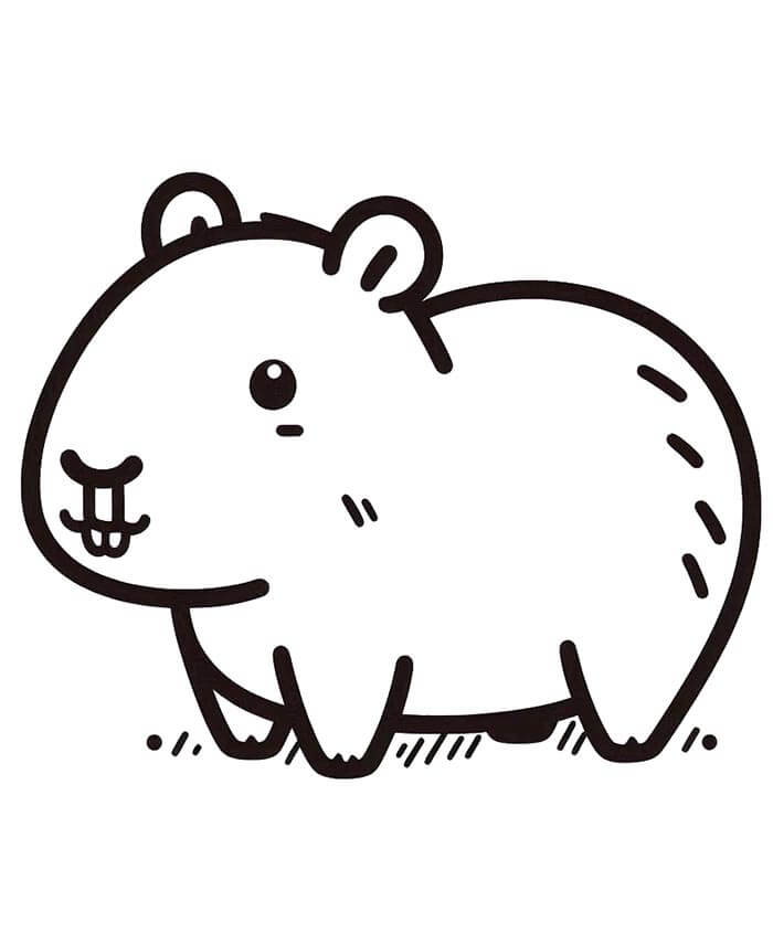 Capibara Stampabile Gratis da colorare