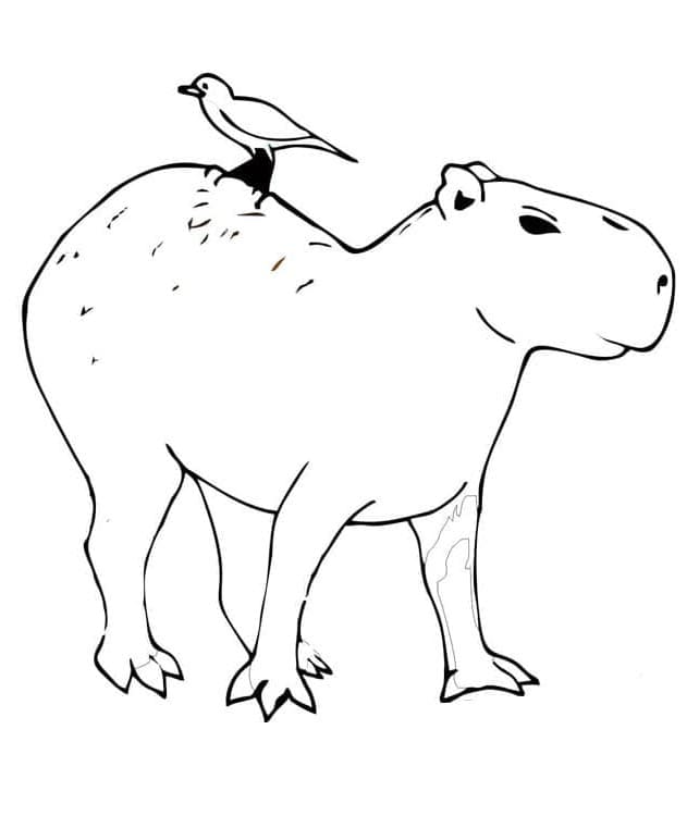 Capibara a Costo Zero da colorare