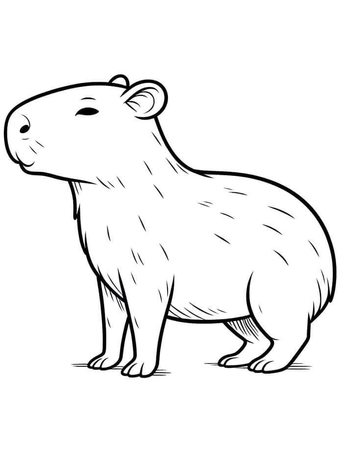 Capibara per Bambini di 1 Anno da colorare