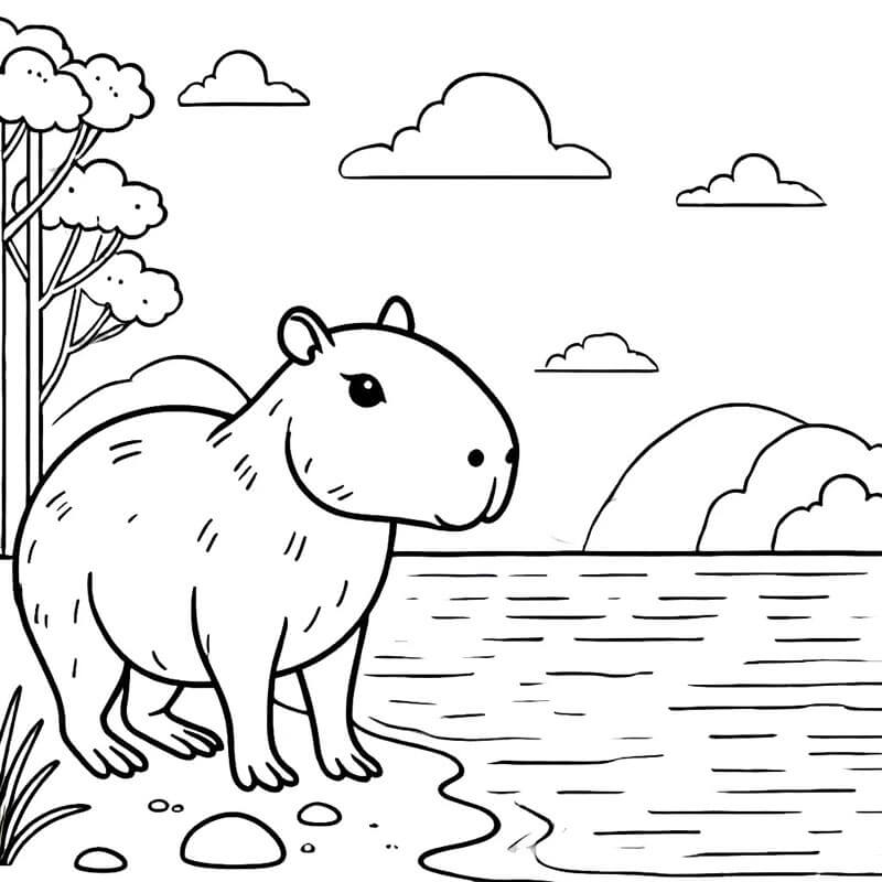Capibara per Bambini di 5 Anni da colorare