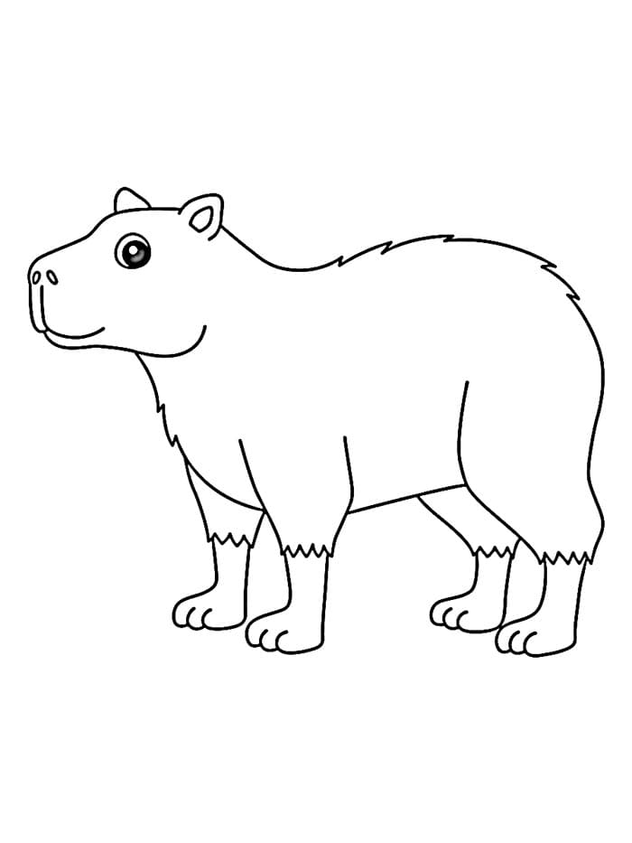 Capibara per Bambini da colorare