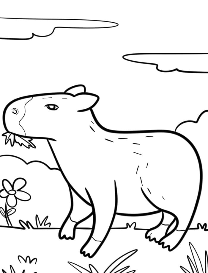 Capibara da colorare