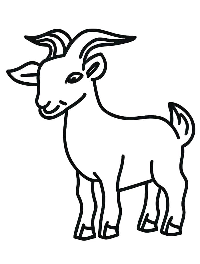 Capra Carina da colorare