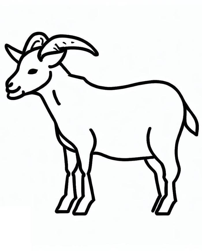 Capra Molto Carina da colorare