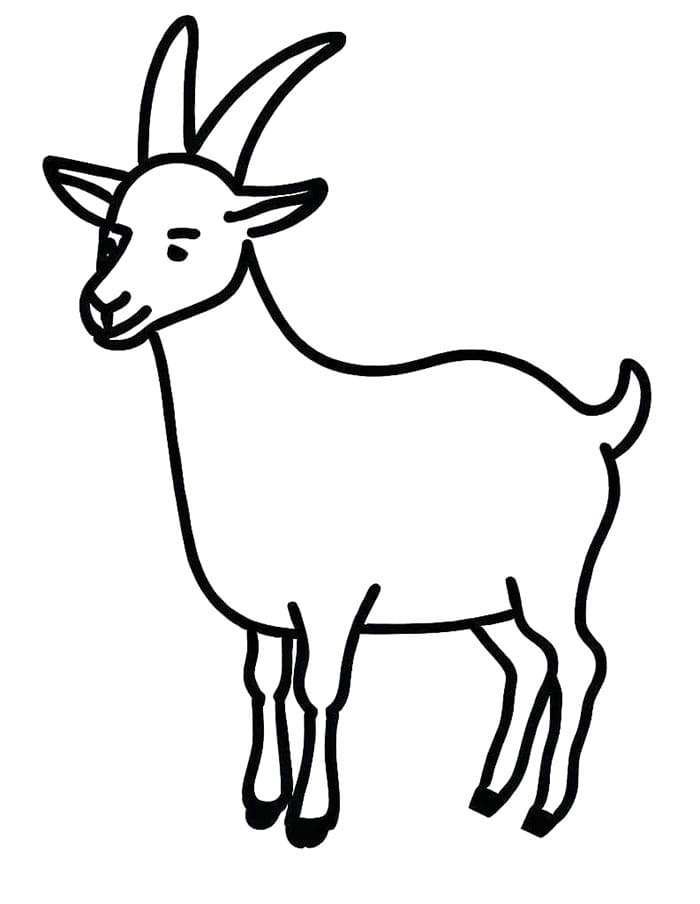 Capra Normale da colorare