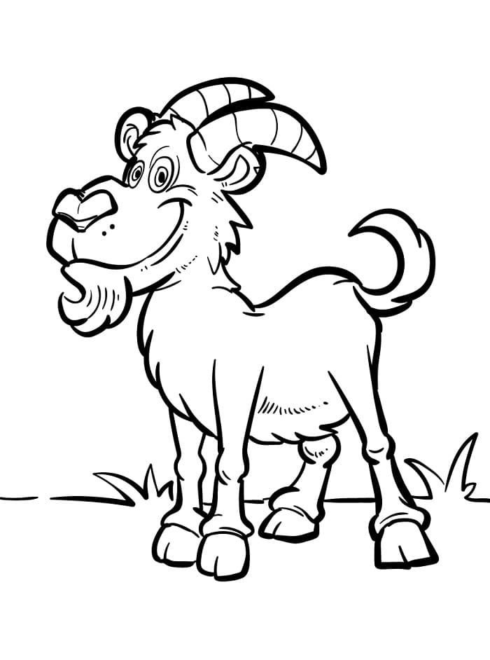 Capra Selvatica da colorare